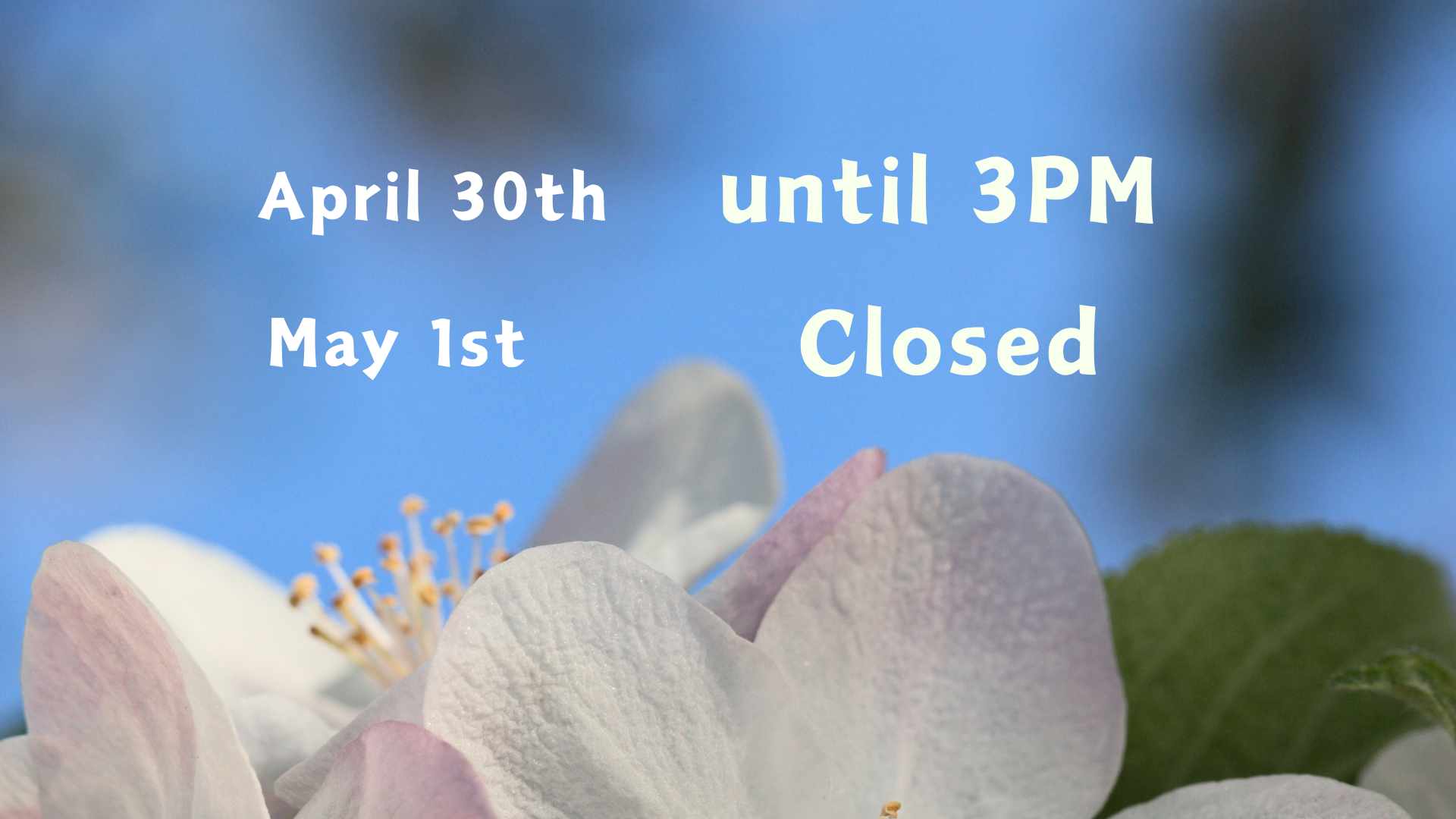 Library working hours. April 30th - until 3PM. May 1st - closed