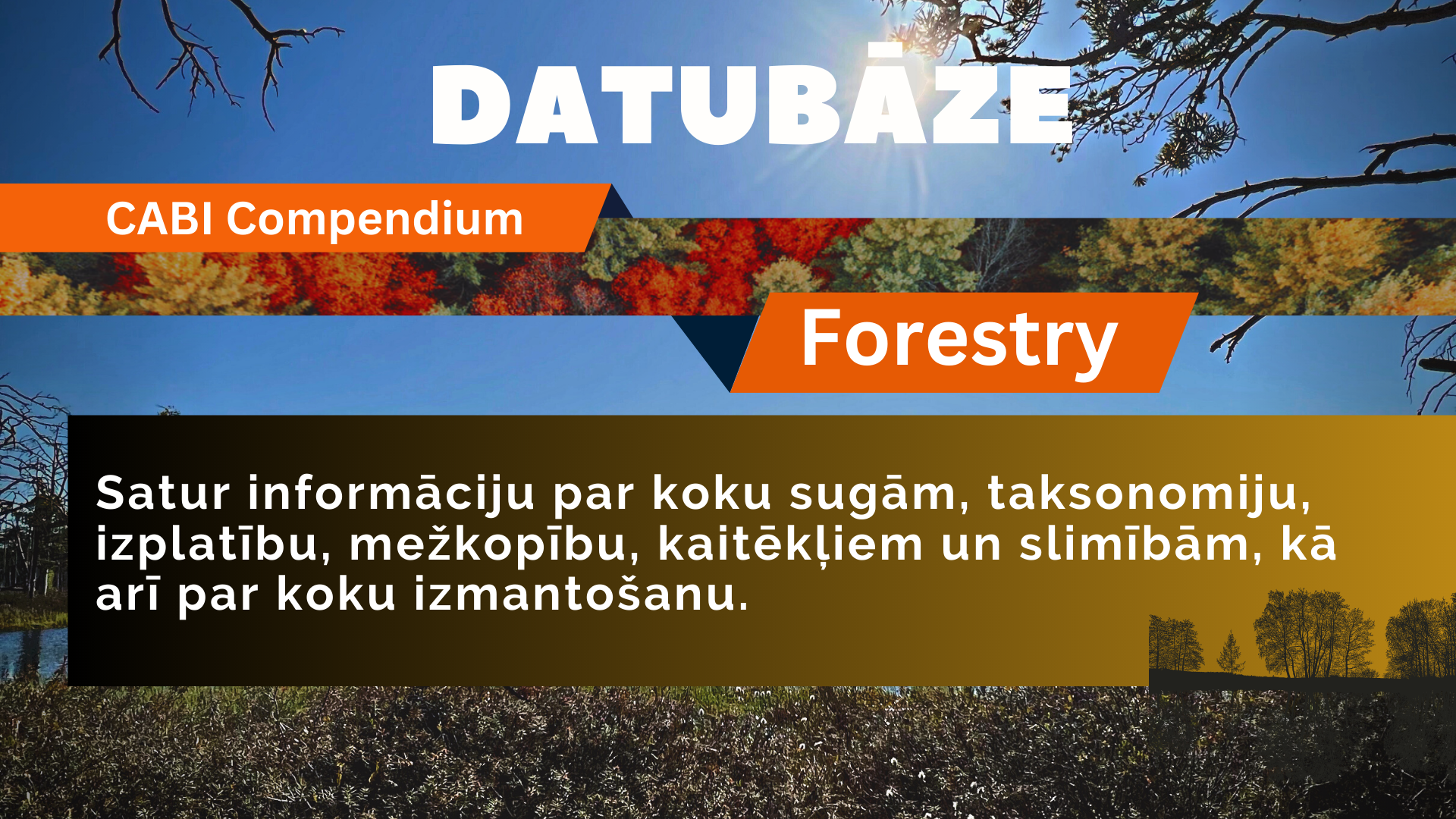 CABI Compendium Forestry datubāze. Datubāze pieejama bibliotēkā, LBTU tīklā un LBTU zinātniskajos institūtos pēc IP, ārpus LBTU tīkla, izmantojot LBTU IS lietotājkontu 