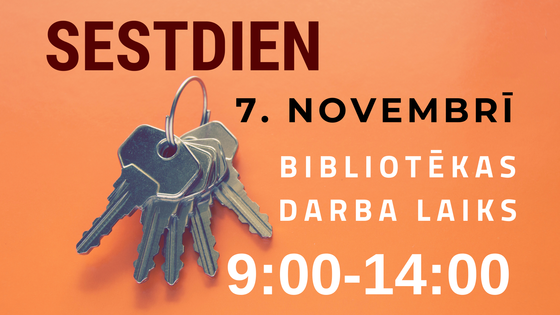 Sestdien, 7. novembrī, bibliotēka lasītājiem atvērta no plkst. 9.00 līdz 14.00