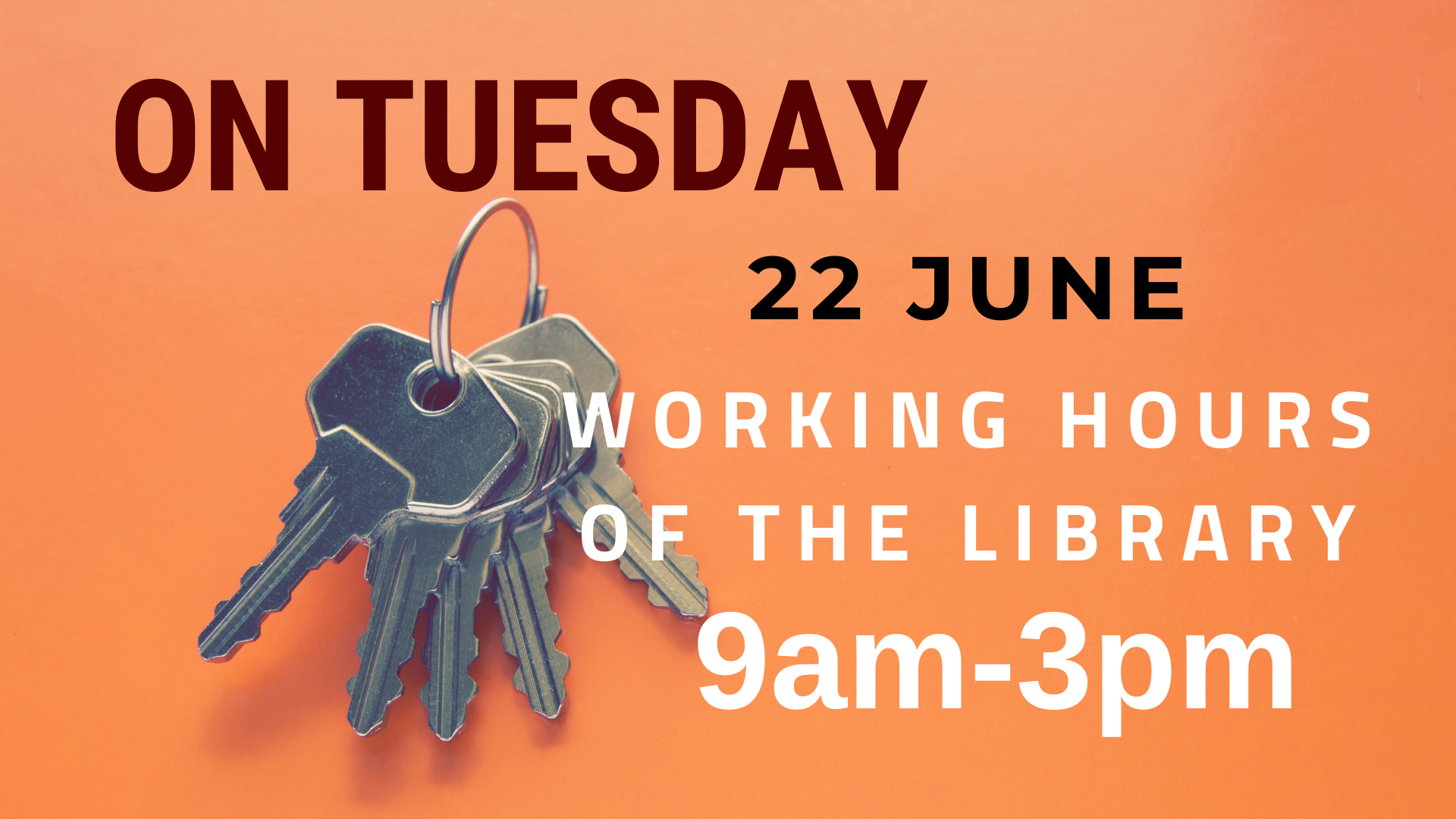 Fundamental Library of the Latvia University of Life Sciences and Technologies  working hours on Tuesday 22 June 9am-3pm
