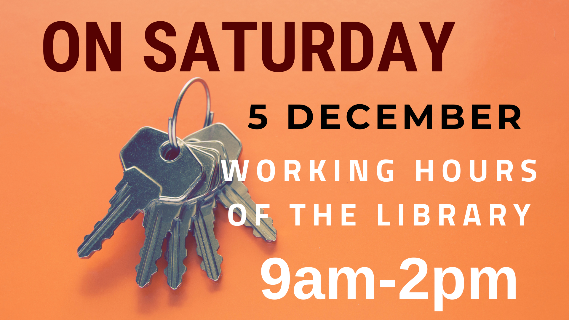 On Saturday 5 December our library is open from 9am until 2pm