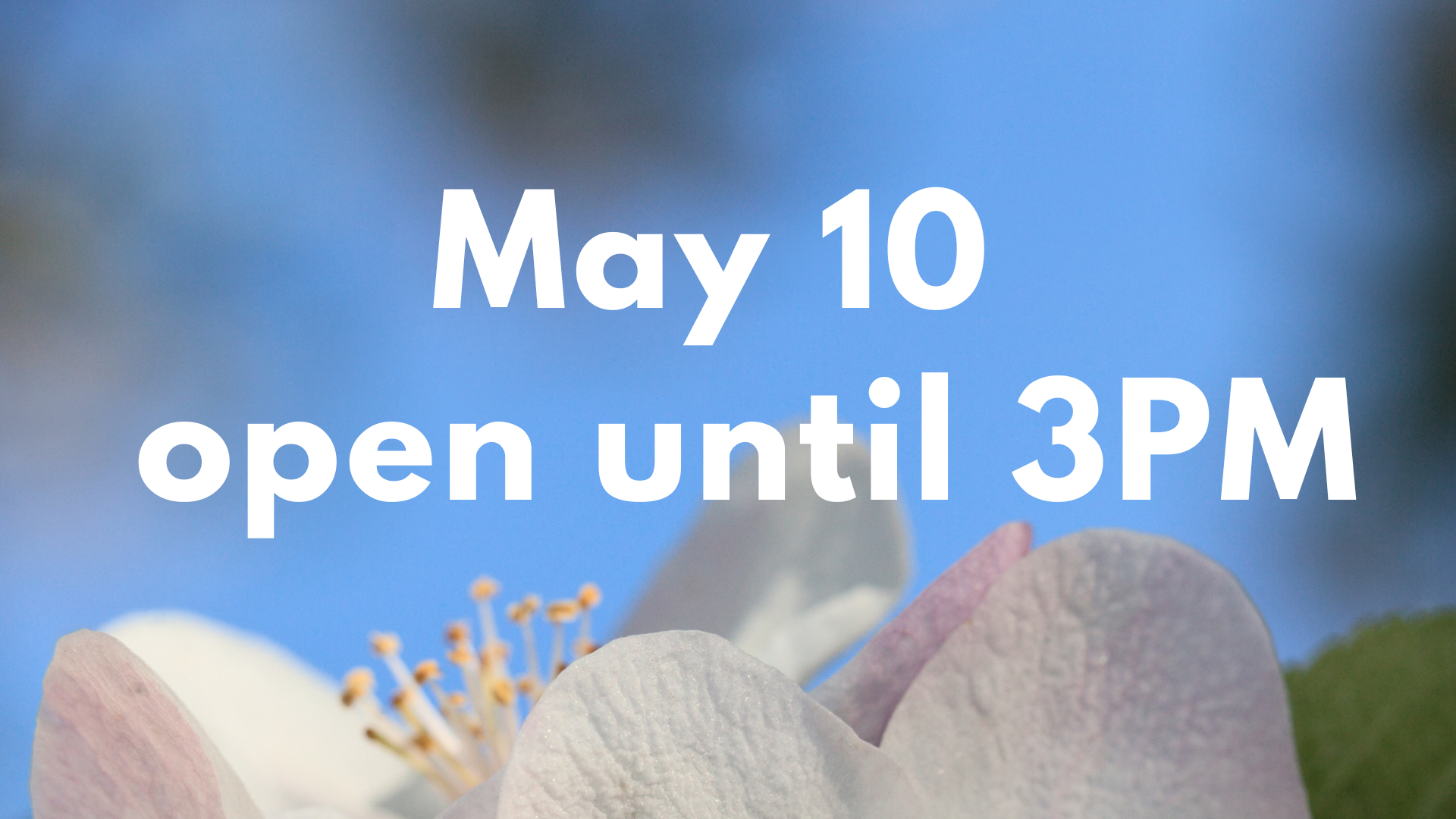 Changes in Library Opening Hours