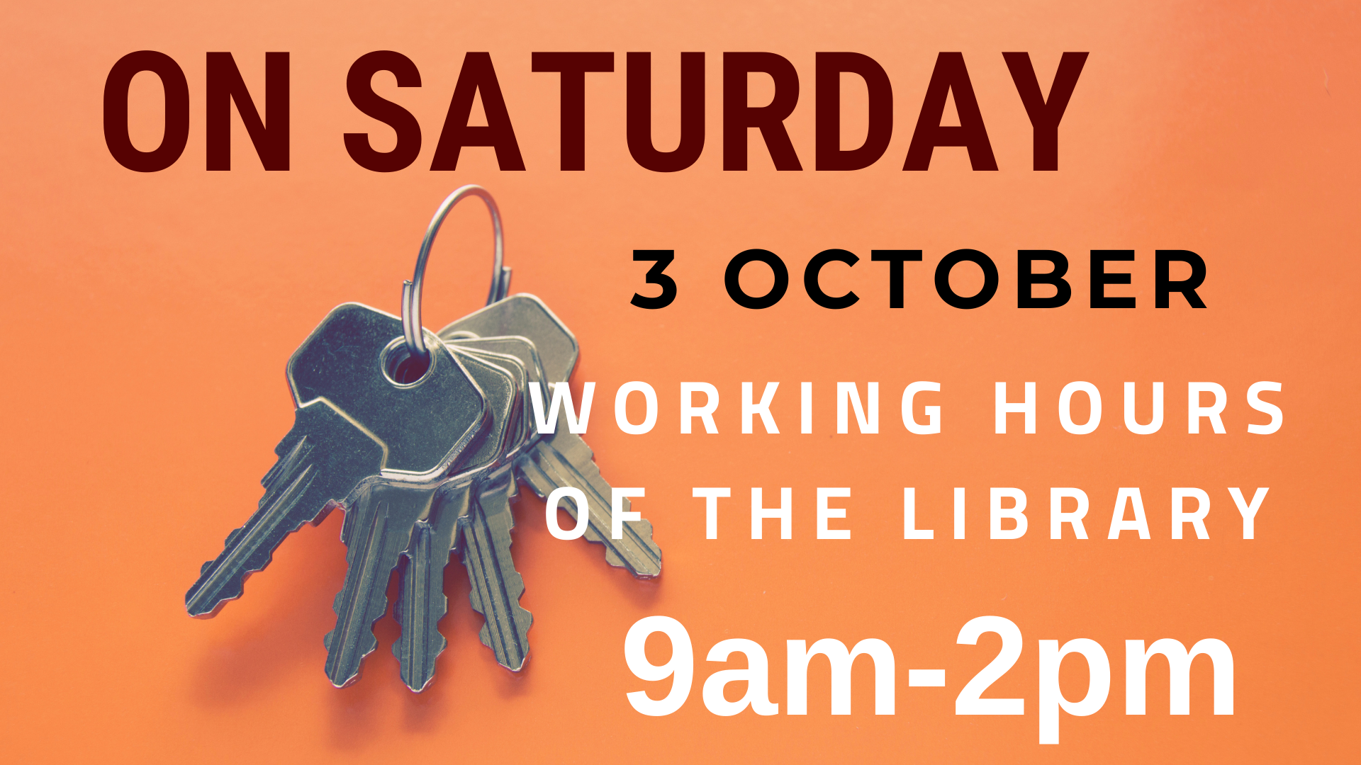 On Saturday 3 October our library is open from 9am until 2pm