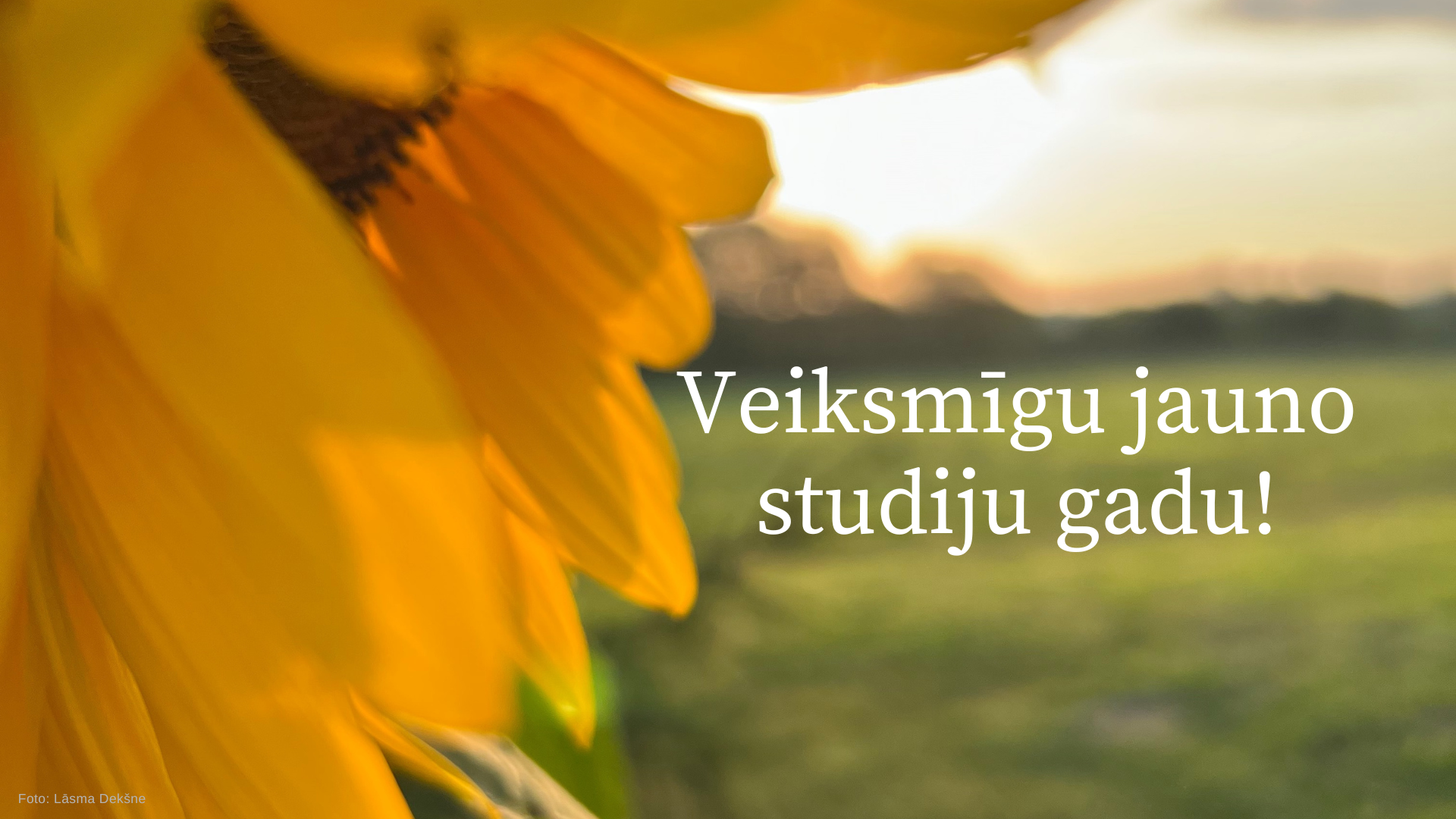 LBTU Bibliotēkas kolektīvs sveic visus studentus un mācībspēkus ar jaunā studiju gada sākumu!