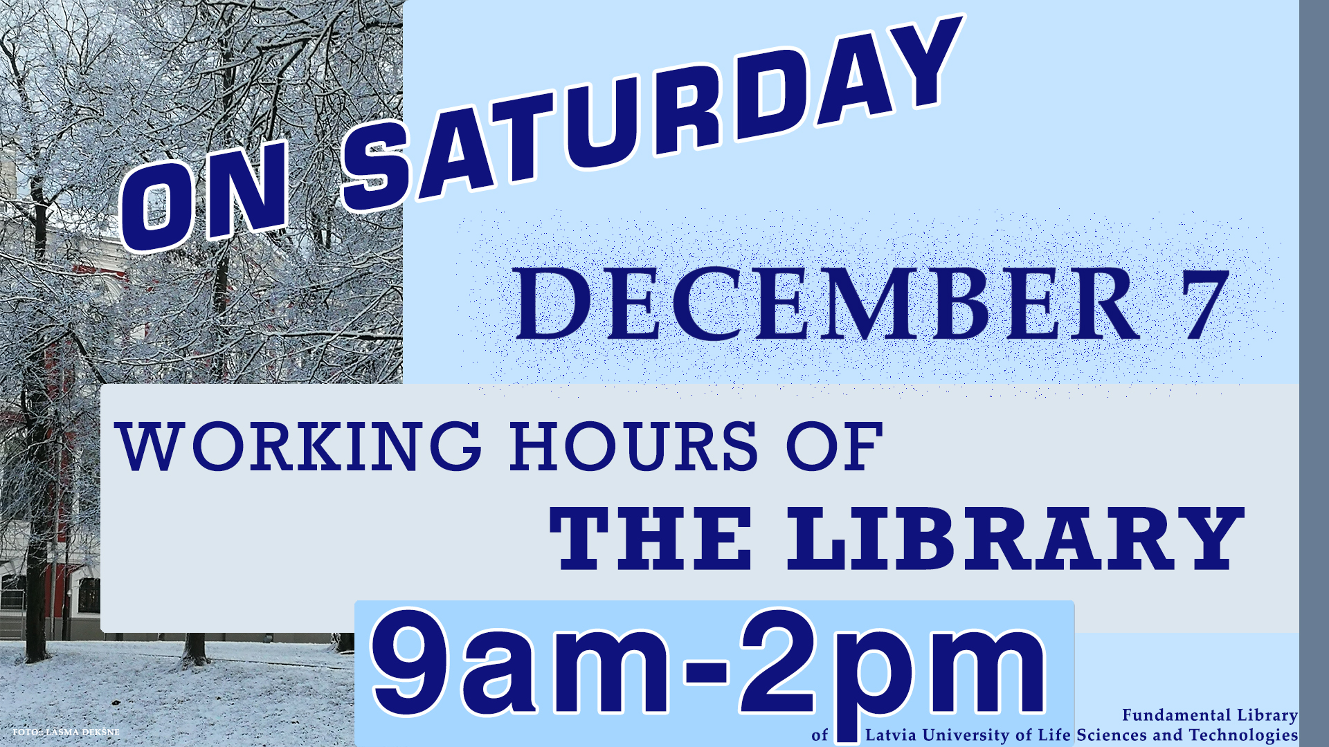 On Saturday 7th of December our library is open from 9am until 2pm.