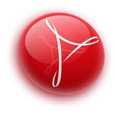 Adobe Acrobat Reader (at least version 10.0)