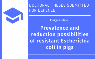 Doctoral Thesis submitted to defense at Fundamental Library of the Latvia University of Life Sciences and Technologies.  Daiga Gāliņa. Prevalence and reduction possibilities of resistant Escherichia coli in pigs : Doctoral Thesis for acquiring a Doctoral degree in Veterinary Medicine (Ph.D.), Jelgava, Latvija, 2023.  DOI: 10.22616/dissertation/2023.002